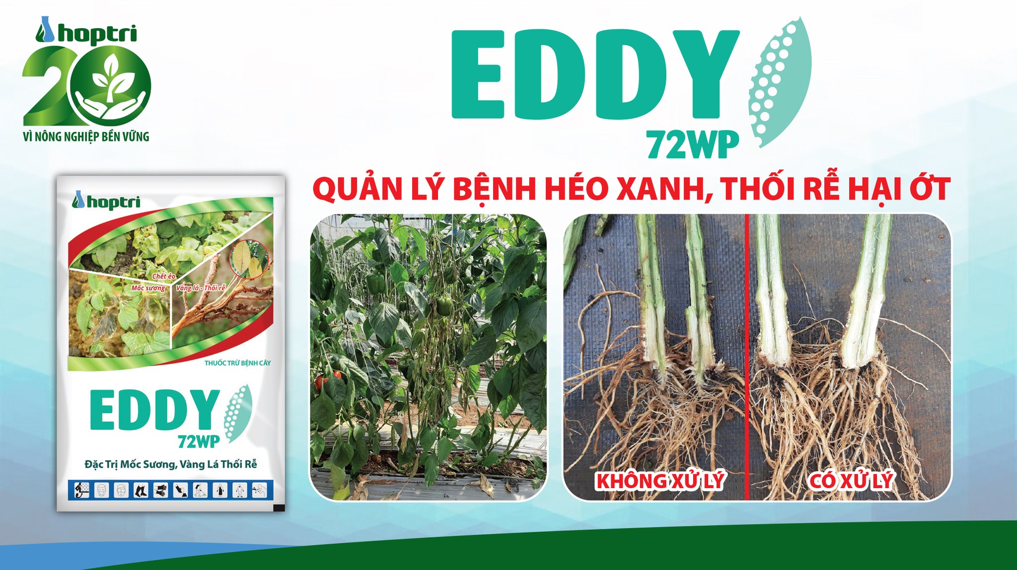 Thuốc trừ bệnh Eddy 72WP - Gói 300g